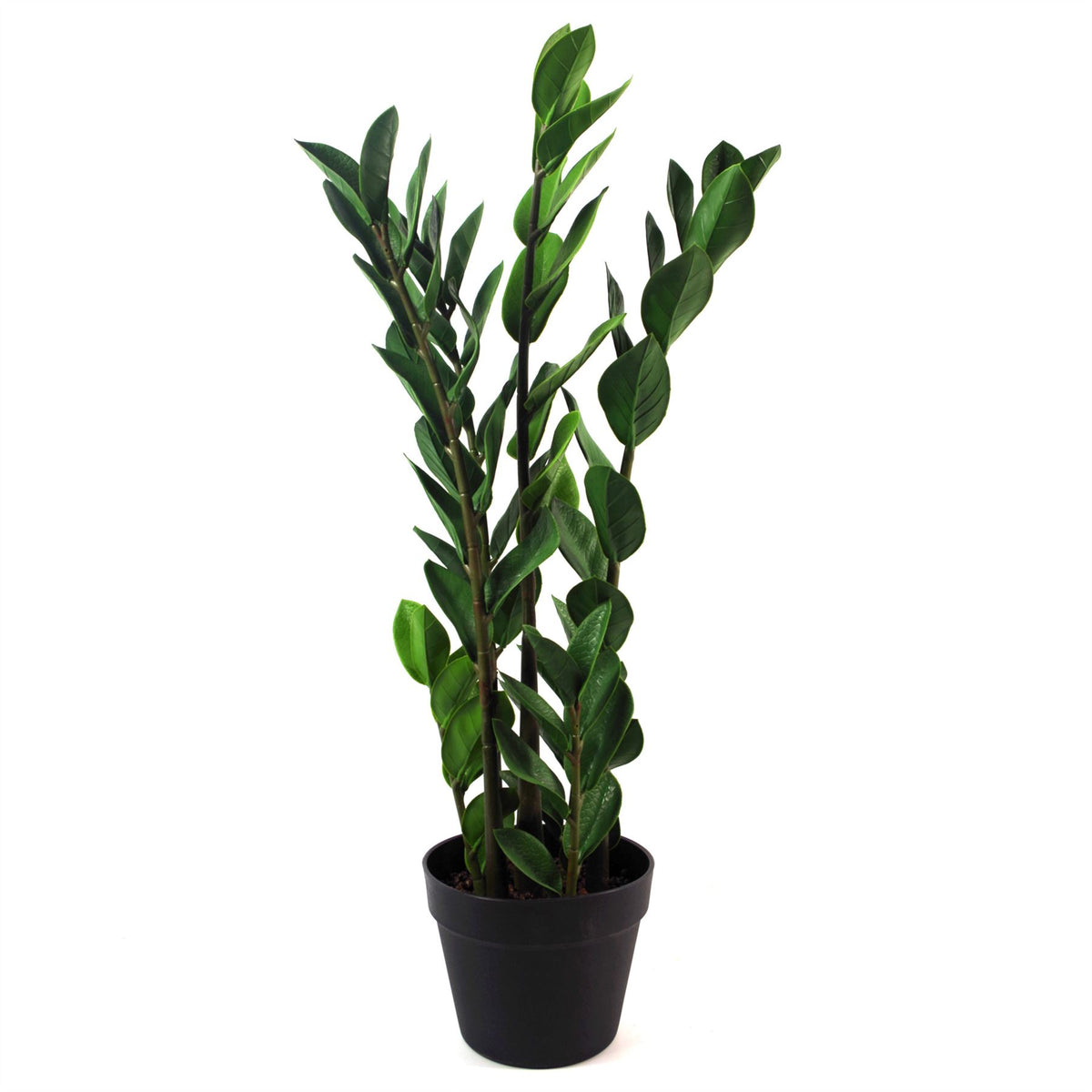 75cm Artificial Zanzibar Green Gem Zamioculcas Succulent Indoor Plant
