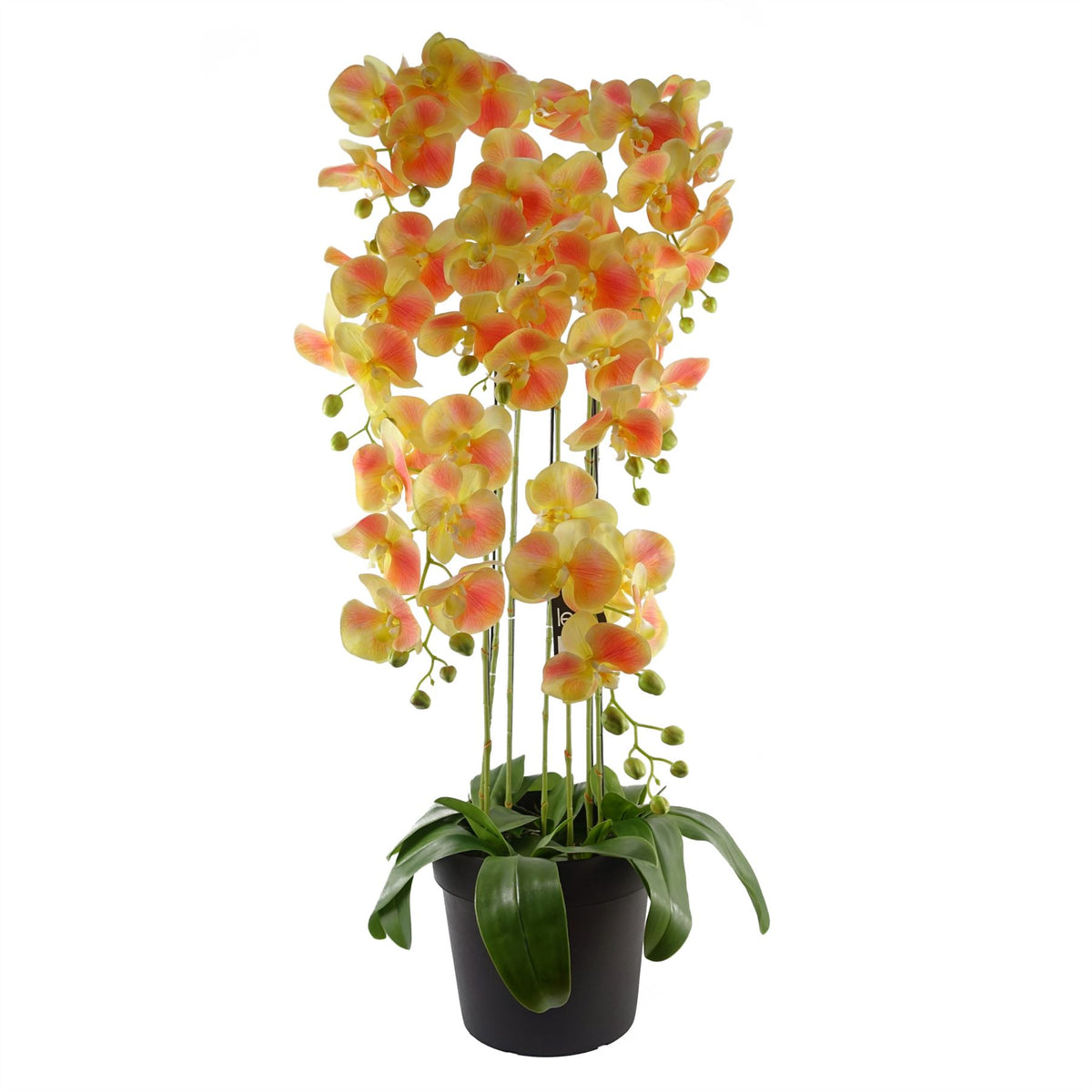 Botanik 110cm Large Artificial Yellow Peach Orchid Plant with 41 Real Touch Flowers – Wired Stems, Weighted Pot