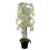 Giant White Artificial Orchid Plant, 150cm with 189 Real Touch Flowers – Wired Stems, Potted