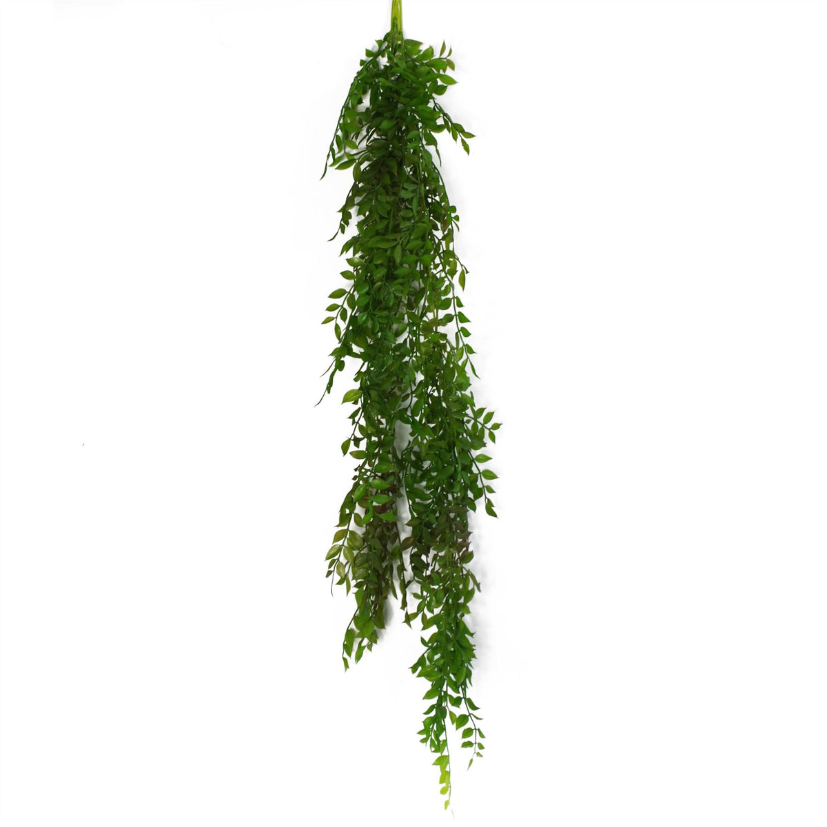 Leaf Design UK 100cm Artificial Hanging String of Pearls Fern Plant – Unpotted Bare Stem, Dark Green