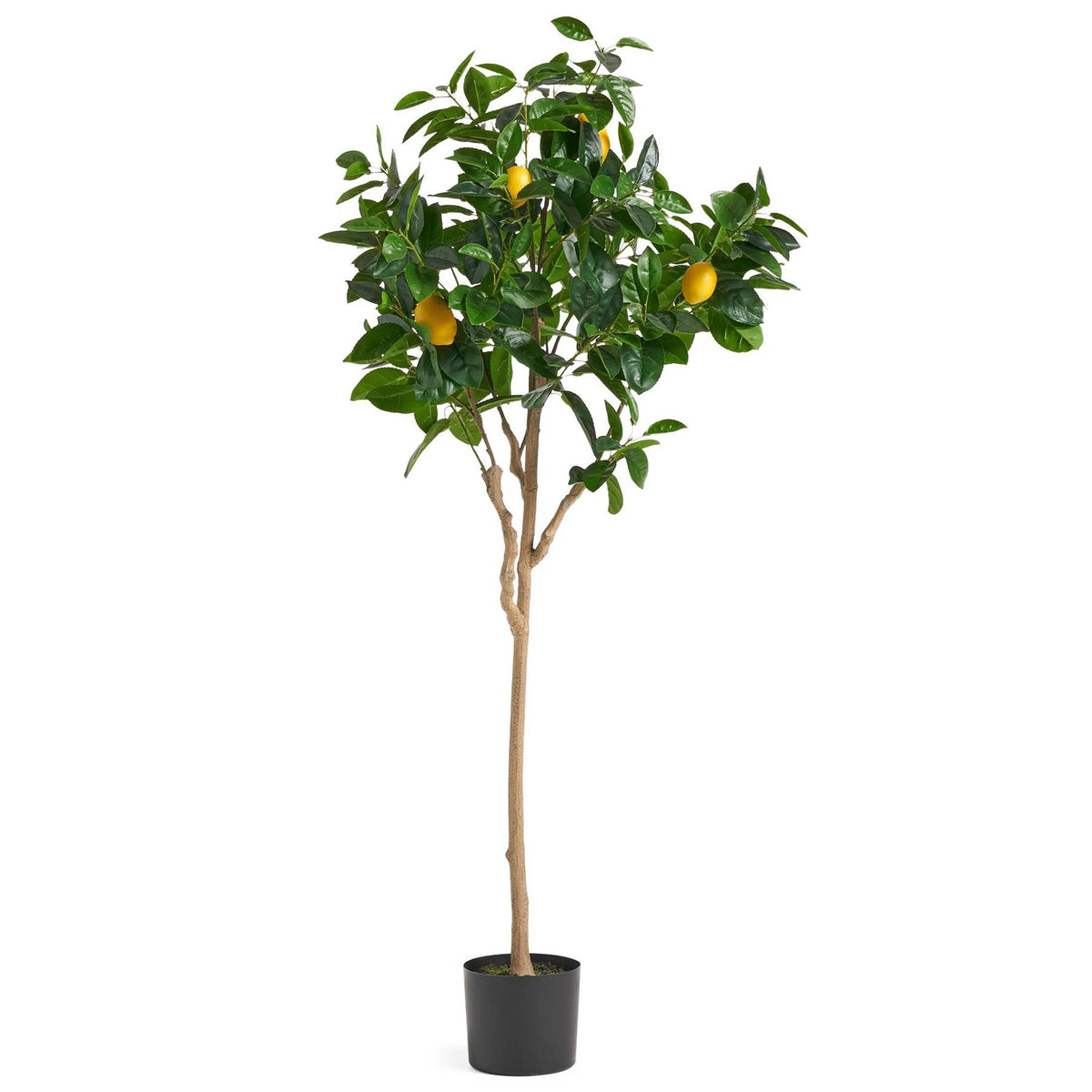 Premium Artificial Lemon Tree, 150cm with Realistic Foliage and Weighted Pot – Faux Plant for Home Display