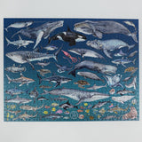 The Ocean 1000 Piece Jigsaw Puzzle – Underwater Marine Life Illustrations by Rachel Brooks