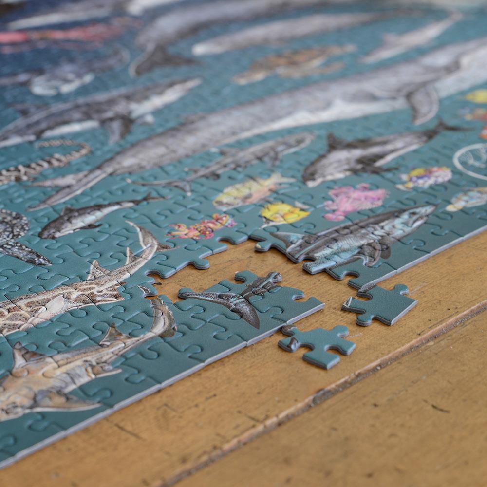The Ocean 1000 Piece Jigsaw Puzzle – Underwater Marine Life Illustrations by Rachel Brooks