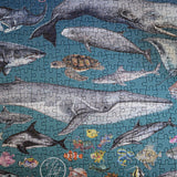 The Ocean 1000 Piece Jigsaw Puzzle – Underwater Marine Life Illustrations by Rachel Brooks