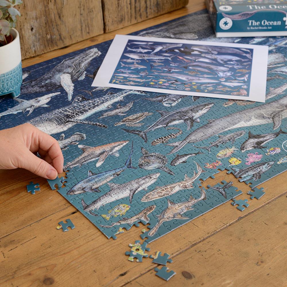 The Ocean 1000 Piece Jigsaw Puzzle – Underwater Marine Life Illustrations by Rachel Brooks