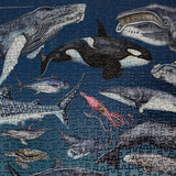 The Ocean 1000 Piece Jigsaw Puzzle – Underwater Marine Life Illustrations by Rachel Brooks