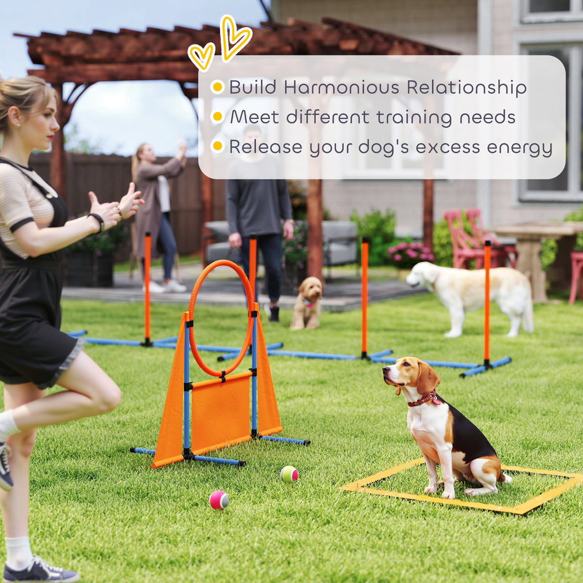 PawHut 6 Piece Dog Agility Equipment with Jumps, Weave Poles, Pause Box & Carry Bag – Obstacle Training Course Kit