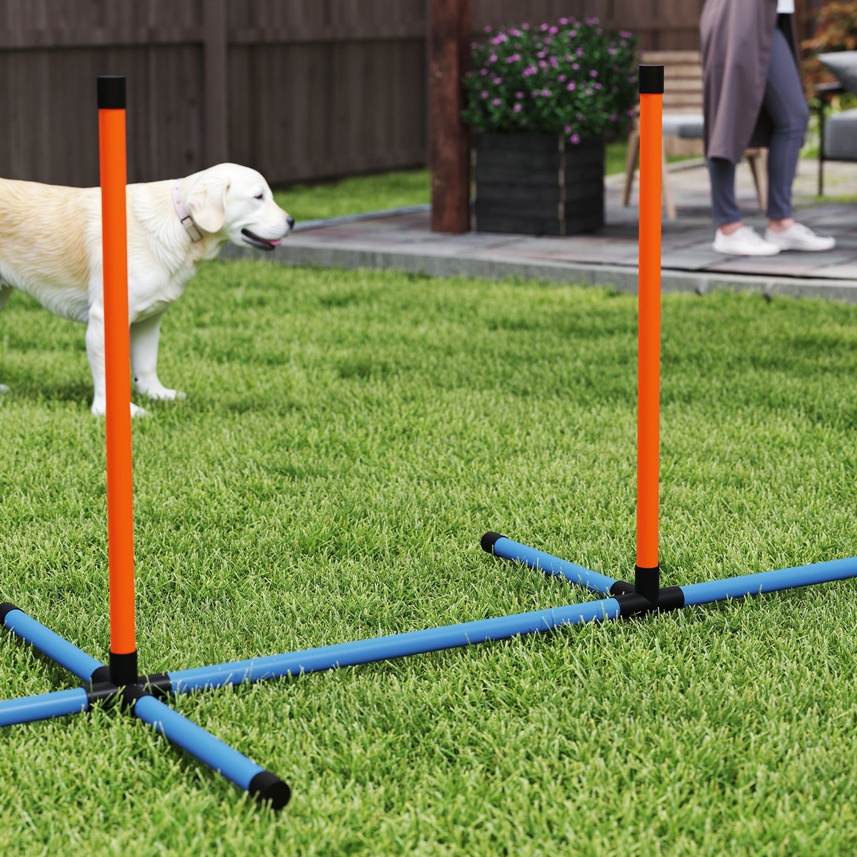 PawHut 6 Piece Dog Agility Equipment with Jumps, Weave Poles, Pause Box & Carry Bag – Obstacle Training Course Kit