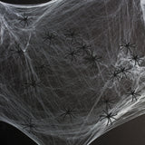 Vinsani Pack of 24 Realistic Black Plastic Spiders – Halloween Party Decorations and Prank Props