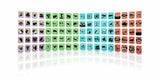 Aquarius Augmented Reality Educational Cards with Storage Bag – 3D Animal, Fruit & Vehicle Learning Toy