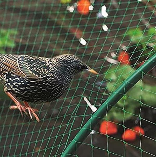 Aspect Heavy-Duty Garden Netting 10 x 2 m – Plant Support & Protection Net for Peas, Tomatoes, Beans & Vines