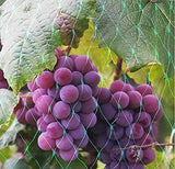 Aspect Heavy Duty Garden Netting, 2 Pack, 10m x 2m – Plant Support & Protection for Peas, Beans & Tomatoes