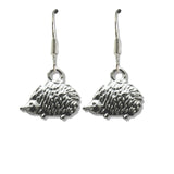 Aye Do Gifts Hedgehog Drop Earrings – Cute Hedgehog Dangle Jewellery Gift for Her