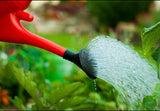 Whitefurze G28WC 6L Watering Can with Detachable Sprinkler Rose – Wraparound Handle, Indoor & Outdoor Use, Red