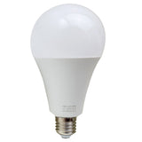25W E27 LED GLS light bulb cool white