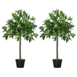Artificial bay laurel topiary trees