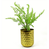Leaf Design UK Artificial Southern Wood Fern Bush, 50cm with Wired Stems – Dark Green Faux Plant