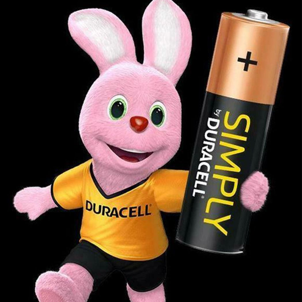 Duracell Simply AA Alkaline Batteries, 12 Pack – Long-Life Non-Rechargeable Power for Toys and Tools