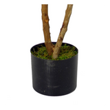 Luxury Artificial Mini Ruscus Tree, 100cm with Real Wood Trunk & Silk Leaves – Premium Potted Plant
