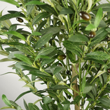Artificial Olive Tree, 160cm with 1,296 Leaves & 72 Olives – Realistic Mediterranean Indoor Greenery