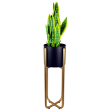 Tall Gold Plant Stand with Iridescent Rainbow Metal Planter – 62cm Indoor Stand, Adjustable Feet