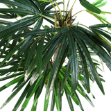 Artificial Raphis Palm Tree, 100cm with Natural Trunk – Realistic Silk Leaves in Weighted Pot