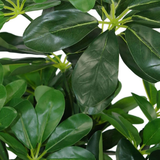 Leaf 55cm Artificial Umbrella Plant with 450 Wired Leaves in Black Pot – Realistic Faux Foliage, Dark Green