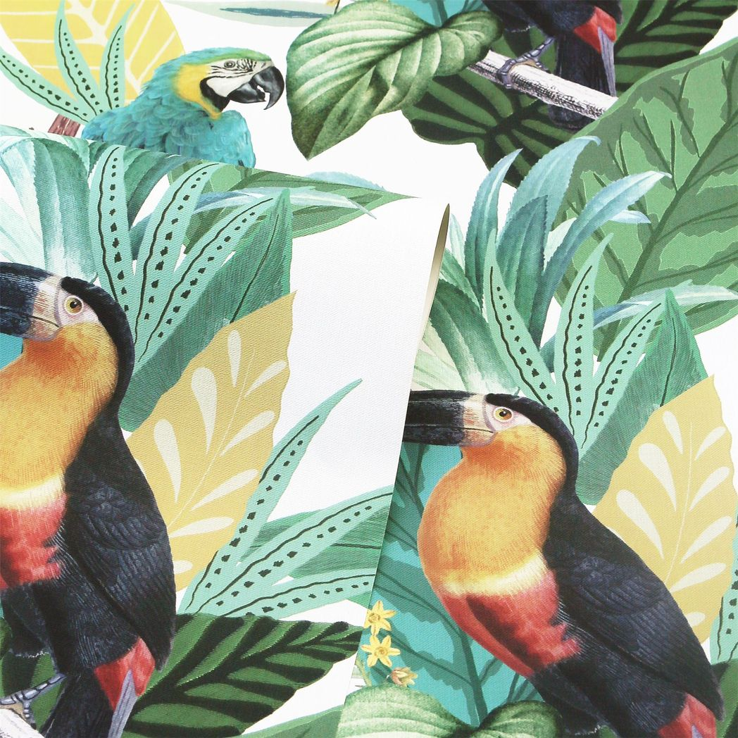 Arthouse Toucan Jungle Wallpaper – Paste the Paper Tropical Feature Wall Covering, Multi