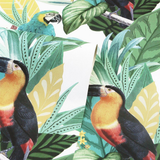 Arthouse Toucan Jungle Wallpaper – Paste the Paper Tropical Feature Wall Covering, Multi