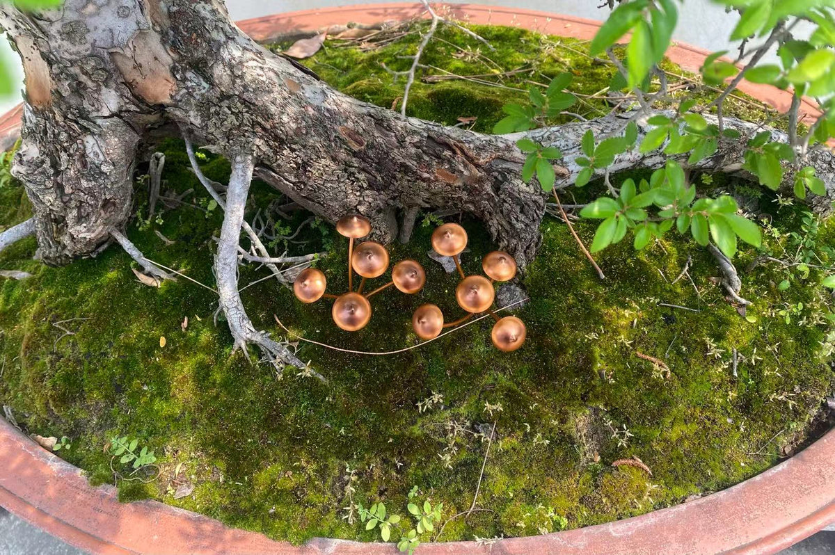 Avilo Copper Finish Mushroom Garden Stakes, Set of 2 – Decoration for Planters and Borders