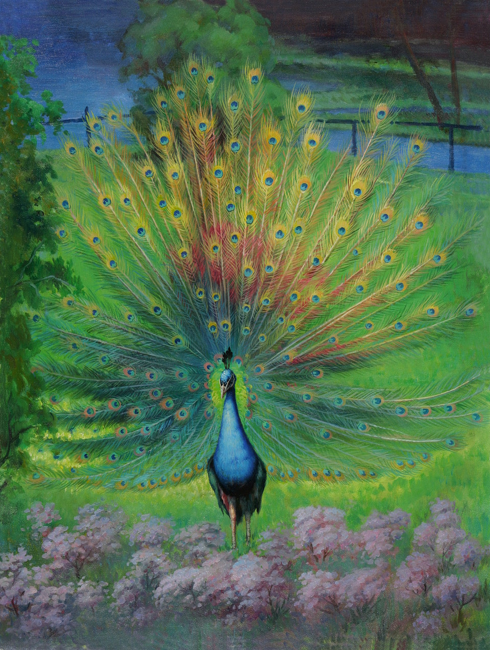 Avilo Peacock Shape Jigsaw Puzzle, 1000 Pieces – Challenging Hand-Eye Coordination Puzzle