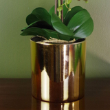 Leaf 52cm Large Artificial Orchid with 14 Real Touch Flowers – White in Shiny Gold Decorative Pot