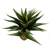 Leaf 55cm Artificial Yucca Plant in Plastic Pot