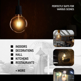 Ledsone 5 Pack E27 Dimmable LED Edison Bulbs, G125 Amber Glass – 8W Warm White 2700K Vintage Filament