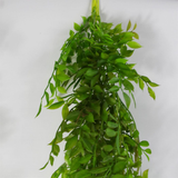 Leaf Design UK 100cm Artificial Hanging String of Pearls Fern Plant – Unpotted Bare Stem, Dark Green
