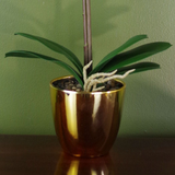 Artificial Orchid, 46cm with 6 Realistic Flowers & Real Touch Leaves – Decorative Gold Pot, Dark Pink