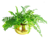 Leaf XL Metal Bowl Planter 32 x 20cm – Handmade Indoor Plant Pot with Hammered Gold Finish, Straight Edge
