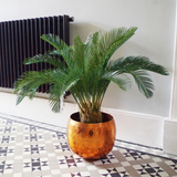 80cm Artificial Cycas Palm Plant – Tropical Tree for Home Decor, Green & Brown