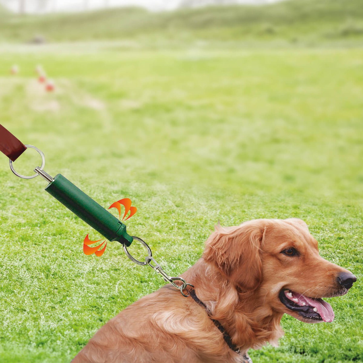 Avilo Tweeter Dog Training Aid with Adjustable Tweet – Stop Pulling on the Lead