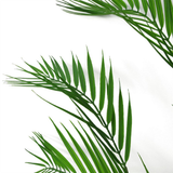 Leaf Design UK 118cm Artificial Palm Tree with 11 Realistic Leaves, Unpotted – Tropical Home Display