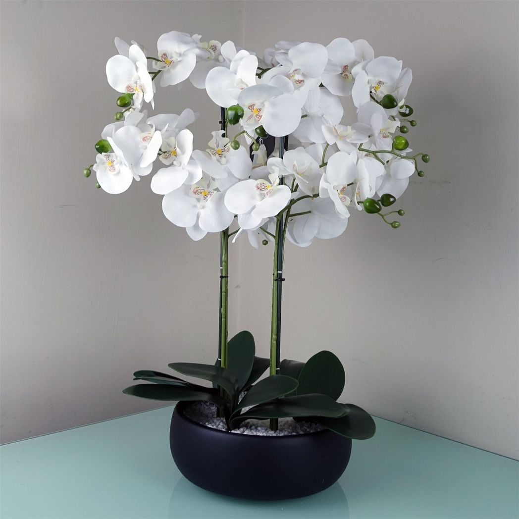 60cm Orchid Artificial White – Black Ceramic Planter