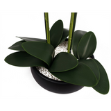 60cm Orchid Artificial Yellow Black Ceramic Planter