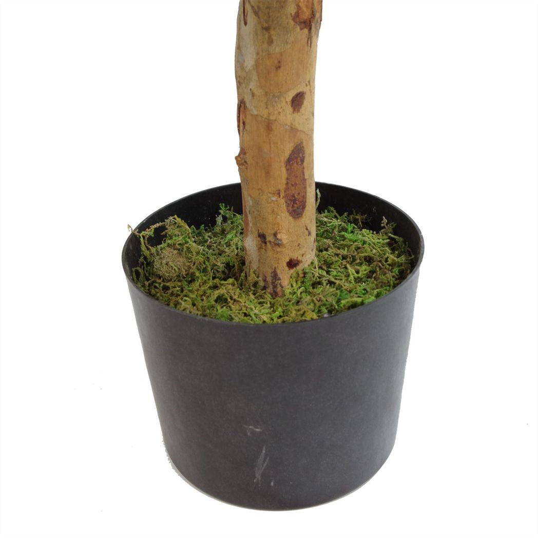 100cm Artificial Dracaena Plant Tree in Pot – Premium Range Home Decor, Green