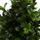 Botanik 120cm Spiral Boxwood Artificial Topiary Tree – UV Resistant Outdoor Faux Plant, Weighted Pot