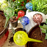 Avilo Plant Watering Spheres, Set of 6 – Self-Watering Bulbs for Houseplants While Away