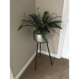 60cm Artificial Boston Fern Plant – Lifelike Home Decor Greenery, Green