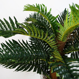 150cm Large Artificial Palm Tree with Natural Covered Trunk – Realistic Faux Plant, Weighted Black Pot