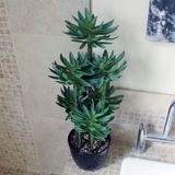 60cm Artificial Tropical Yukka Palm in Decorative Planter – Realistic Low-Maintenance Faux Plant