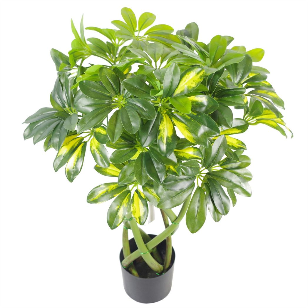 70cm Artificial Arboricola Bonsai Plant – Twisted Stem Golden Capella Evergreen Bush, Green