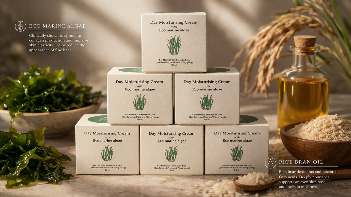 Gloímoí Day Moisturising Cream with Marine Algae, Rice Bran Oil and Cocoa Butter, 50ml